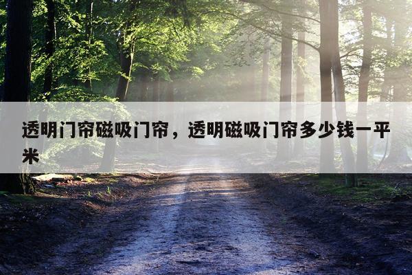 透明门帘磁吸门帘，透明磁吸门帘多少钱一平米