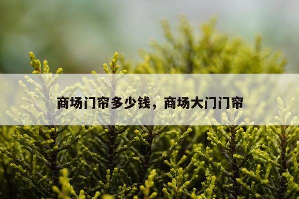 商场门帘多少钱，商场大门门帘