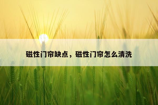 磁性门帘缺点，磁性门帘怎么清洗