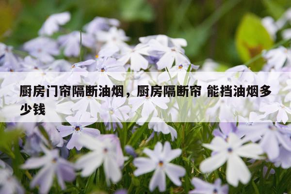 厨房门帘隔断油烟，厨房隔断帘 能挡油烟多少钱