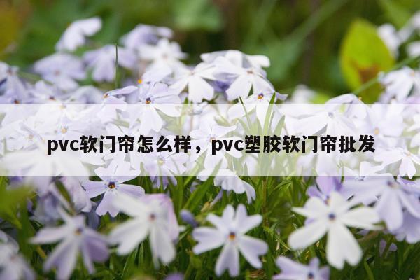 pvc软门帘怎么样，pvc塑胶软门帘批发
