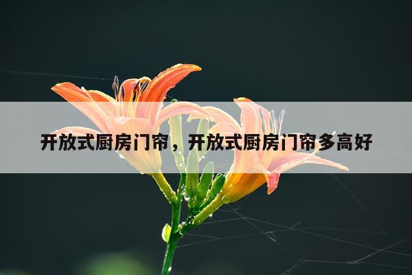 开放式厨房门帘，开放式厨房门帘多高好
