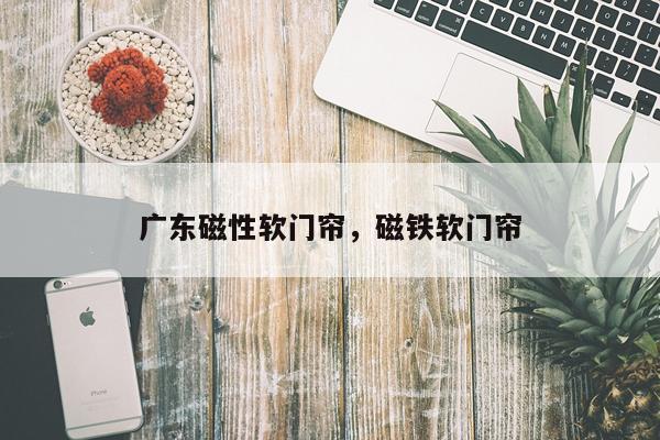 广东磁性软门帘，磁铁软门帘