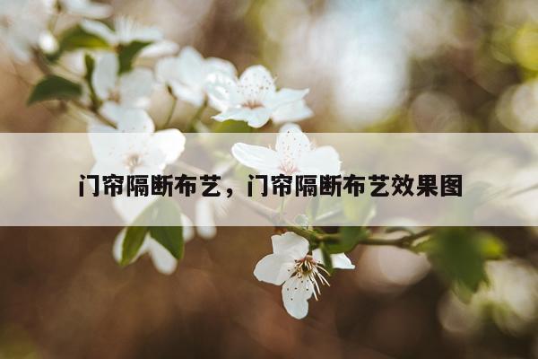 门帘隔断布艺，门帘隔断布艺效果图