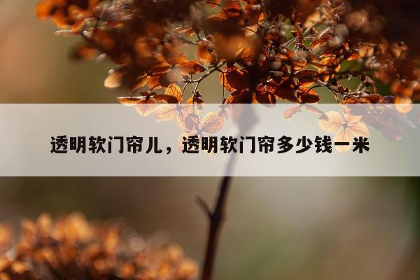 透明软门帘儿，透明软门帘多少钱一米