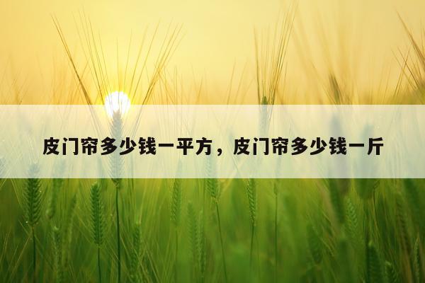 皮门帘多少钱一平方，皮门帘多少钱一斤