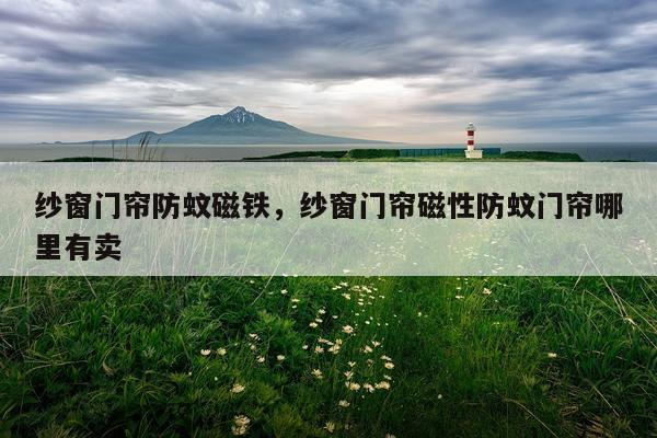 纱窗门帘防蚊磁铁，纱窗门帘磁性防蚊门帘哪里有卖