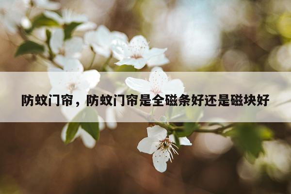 防蚊门帘，防蚊门帘是全磁条好还是磁块好