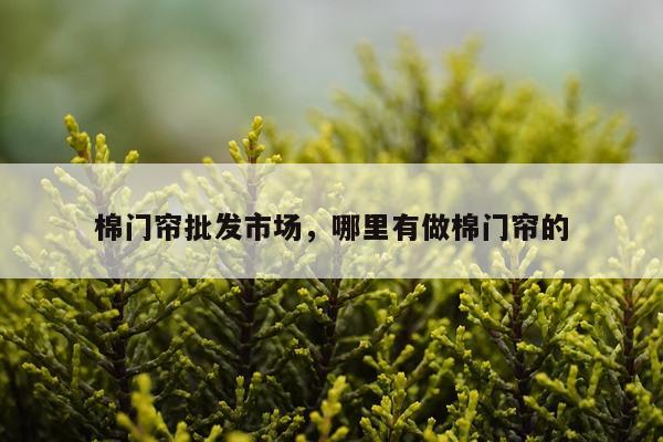 棉门帘批发市场，哪里有做棉门帘的