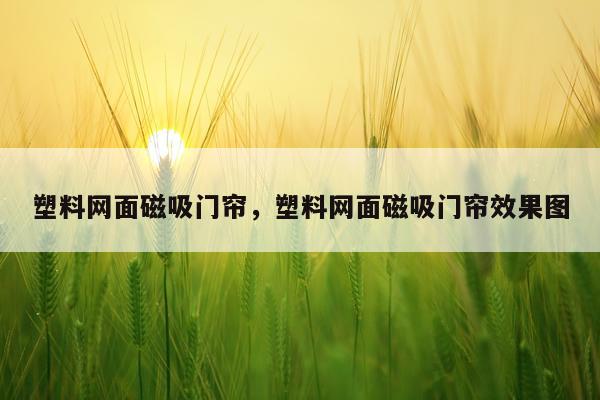 塑料网面磁吸门帘，塑料网面磁吸门帘效果图