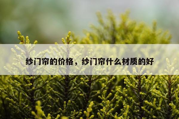 纱门帘的价格，纱门帘什么材质的好