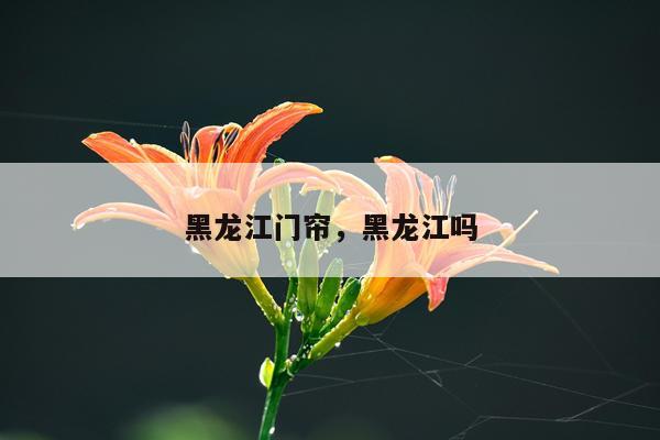 黑龙江门帘，黑龙江吗