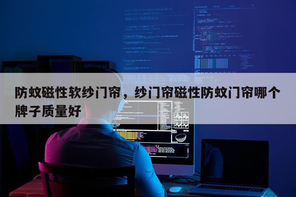 防蚊磁性软纱门帘，纱门帘磁性防蚊门帘哪个牌子质量好