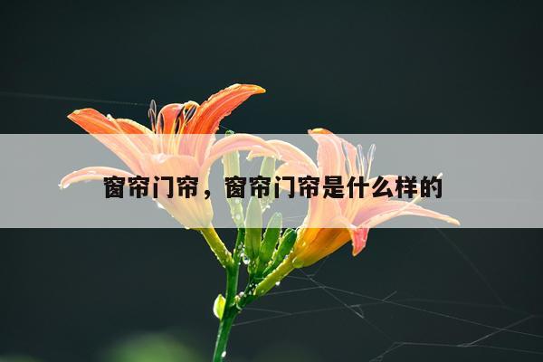 窗帘门帘，窗帘门帘是什么样的