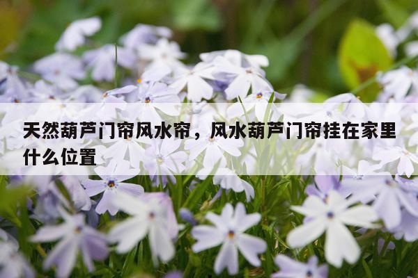 天然葫芦门帘风水帘，风水葫芦门帘挂在家里什么位置