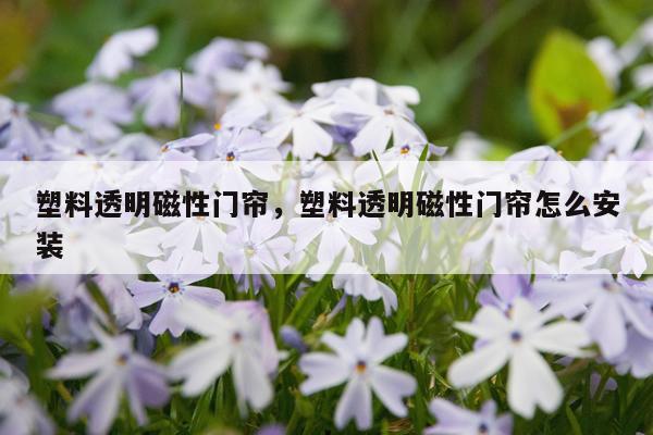 塑料透明磁性门帘，塑料透明磁性门帘怎么安装