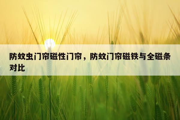 防蚊虫门帘磁性门帘，防蚊门帘磁铁与全磁条对比