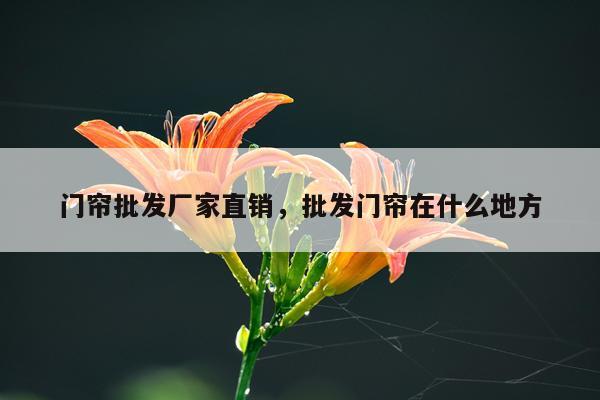 门帘批发厂家直销，批发门帘在什么地方