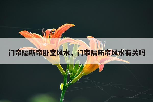门帘隔断帘卧室风水，门帘隔断帘风水有关吗