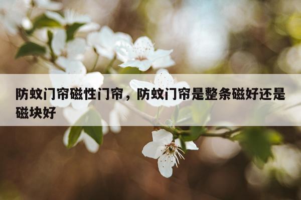 防蚊门帘磁性门帘，防蚊门帘是整条磁好还是磁块好