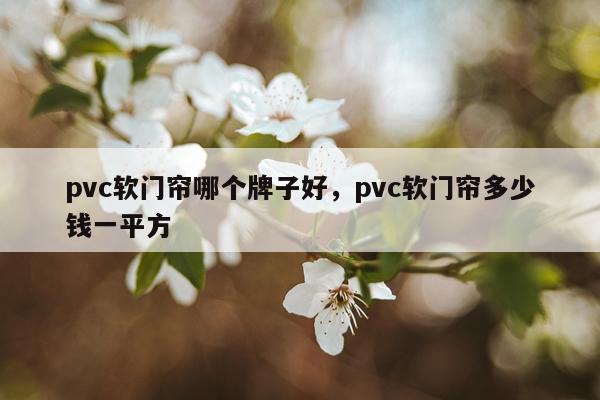 pvc软门帘哪个牌子好，pvc软门帘多少钱一平方