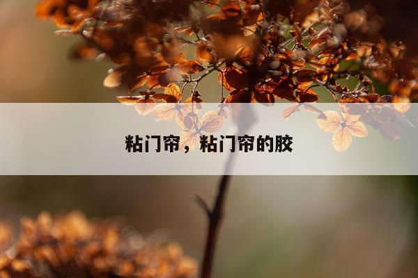 粘门帘，粘门帘的胶