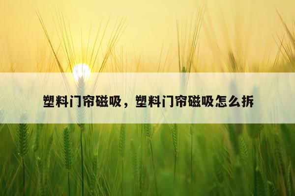 塑料门帘磁吸，塑料门帘磁吸怎么拆