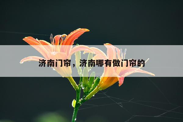 济南门帘，济南哪有做门帘的