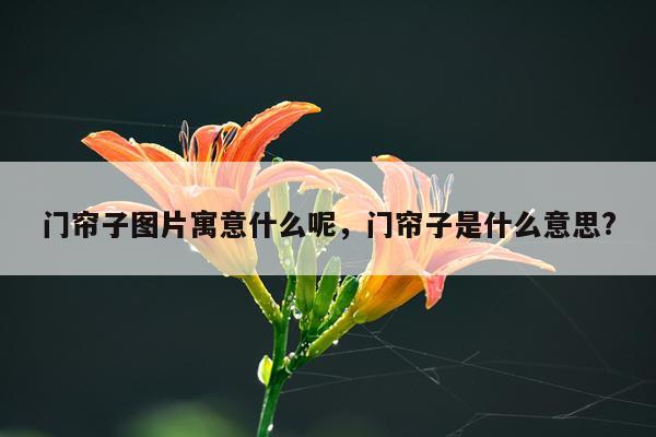 门帘子图片寓意什么呢，门帘子是什么意思?