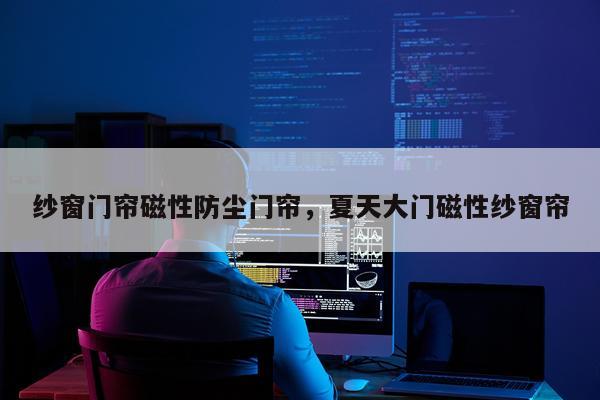 纱窗门帘磁性防尘门帘，夏天大门磁性纱窗帘