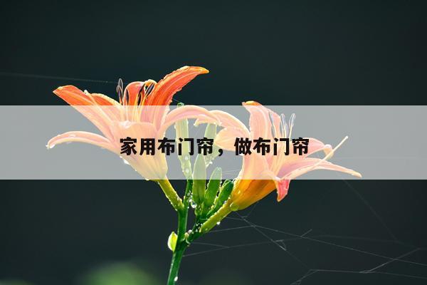 家用布门帘，做布门帘