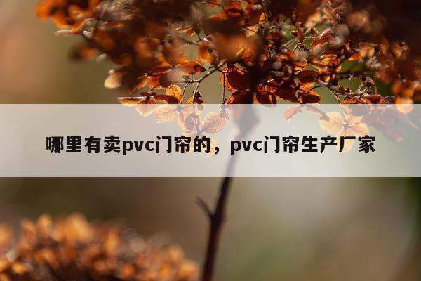 哪里有卖pvc门帘的，pvc门帘生产厂家