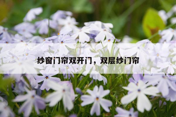 纱窗门帘双开门，双层纱门帘
