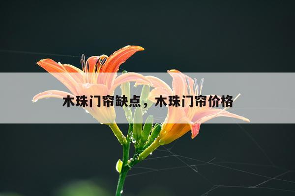 木珠门帘缺点，木珠门帘价格