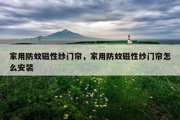 家用防蚊磁性纱门帘，家用防蚊磁性纱门帘怎么安装