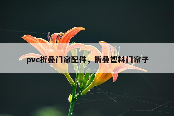 pvc折叠门帘配件，折叠塑料门帘子