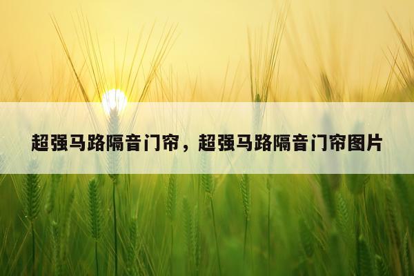 超强马路隔音门帘，超强马路隔音门帘图片