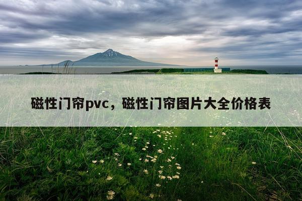 磁性门帘pvc，磁性门帘图片大全价格表