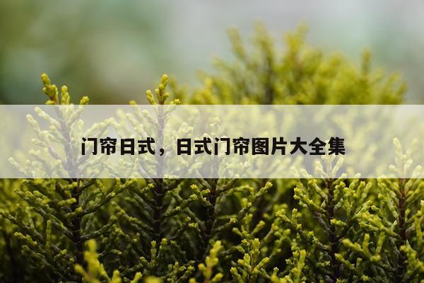 门帘日式，日式门帘图片大全集