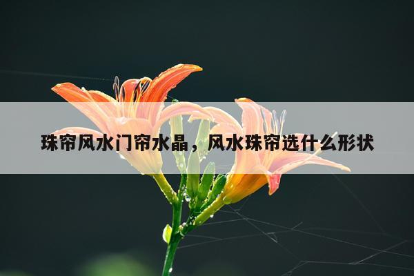 珠帘风水门帘水晶，风水珠帘选什么形状