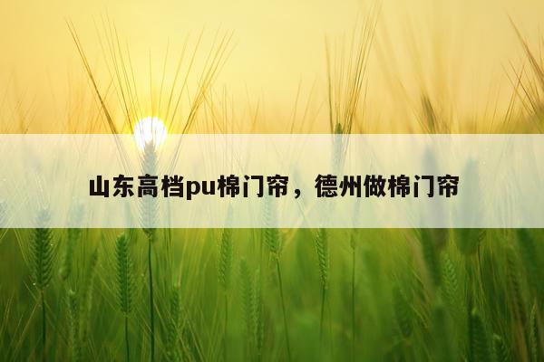 山东高档pu棉门帘，德州做棉门帘