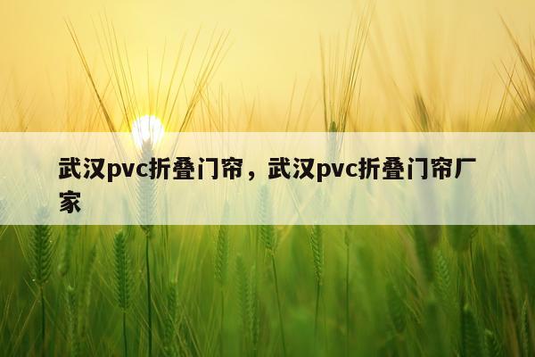 武汉pvc折叠门帘，武汉pvc折叠门帘厂家